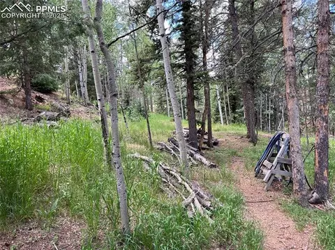 70 Cradle Lake Pl, Divide, CO 80814 photo 4