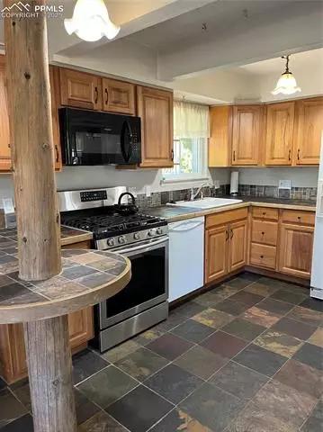 70 Cradle Lake Pl, Divide, CO 80814 photo 20