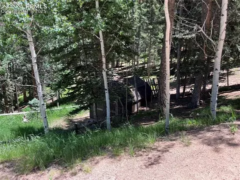 70 Cradle Lake Pl, Divide, CO 80814 photo 34