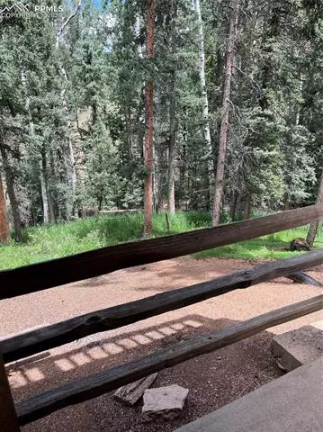 70 Cradle Lake Pl, Divide, CO 80814 photo 9