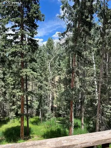70 Cradle Lake Pl, Divide, CO 80814 photo 3