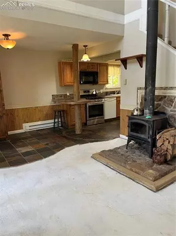 70 Cradle Lake Pl, Divide, CO 80814 photo 16