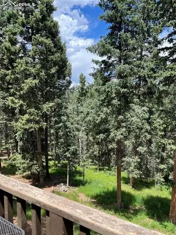 70 Cradle Lake Pl, Divide, CO 80814 photo 30