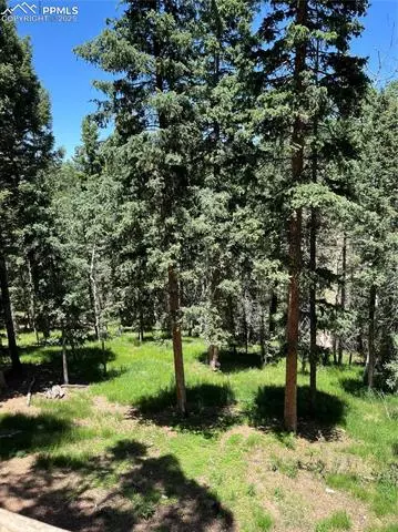 70 Cradle Lake Pl, Divide, CO 80814 photo 33