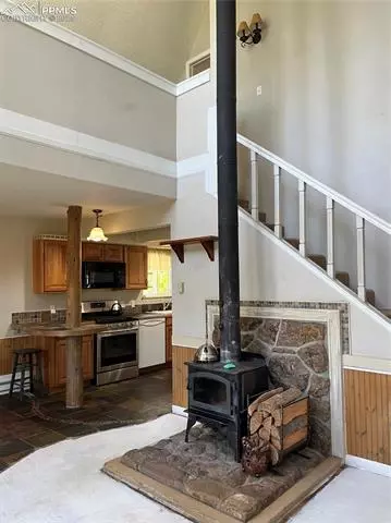 70 Cradle Lake Pl, Divide, CO 80814 photo 18