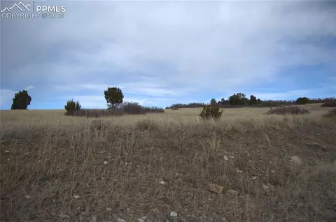 Rosemoore Drive, Colorado City, CO 81069
