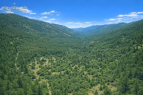 Arrowhead Road, Florissant, CO 80816