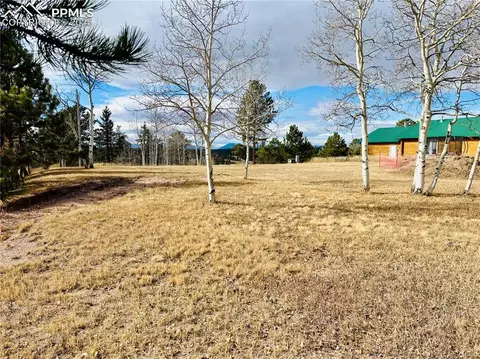 799 Elfin Glen Dr, Divide, CO 80814