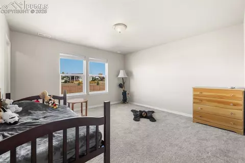 Bedroom - 8294 Thedford Ct, Peyton, CO 80831 photo 5 of 6