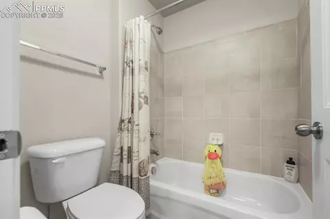 8294 Thedford Ct, Peyton, CO 80831 photo 42