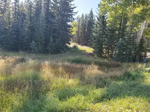 309 Pinaceae Hts, Divide, CO 80814 photo 12