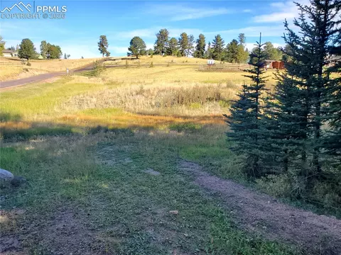 309 Pinaceae Hts, Divide, CO 80814 photo 19