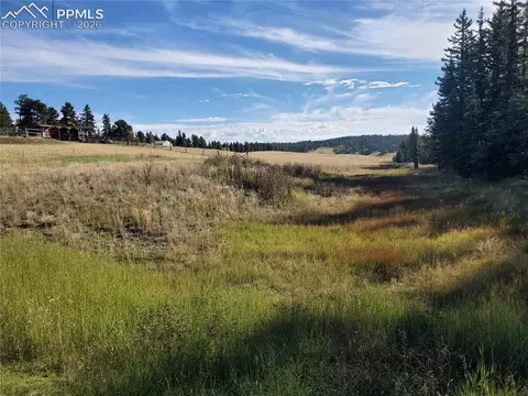 309 Pinaceae Hts, Divide, CO 80814 photo 9