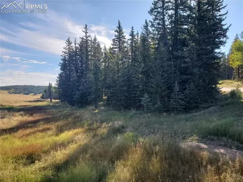 309 Pinaceae Hts, Divide, CO 80814 photo 8