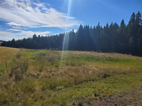 309 Pinaceae Hts, Divide, CO 80814 photo 3