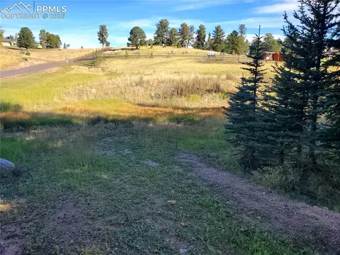 309 Pinaceae Hts, Divide, CO 80814 photo 20