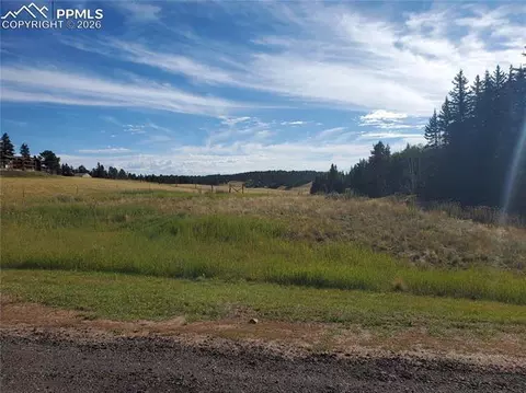 309 Pinaceae Hts, Divide, CO 80814 photo 2