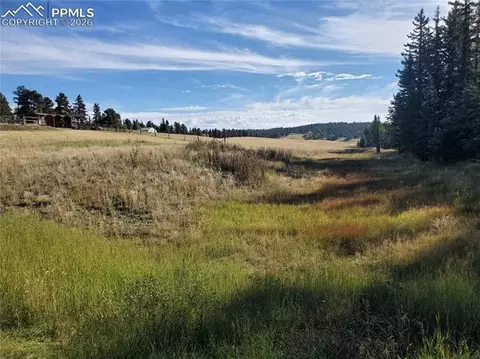 309 Pinaceae Hts, Divide, CO 80814 photo 9
