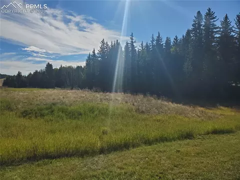 309 Pinaceae Hts, Divide, CO 80814 photo 5
