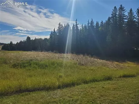 309 Pinaceae Hts, Divide, CO 80814 photo 5