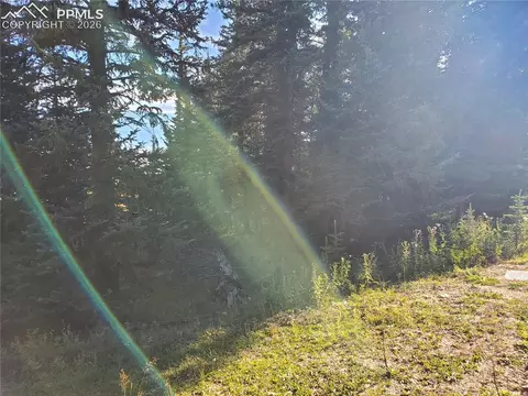 309 Pinaceae Hts, Divide, CO 80814 photo 16