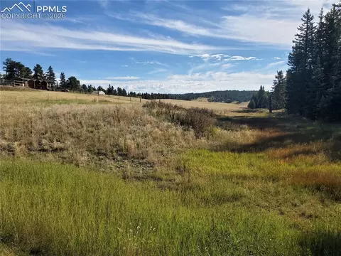 309 Pinaceae Hts, Divide, CO 80814 photo 10