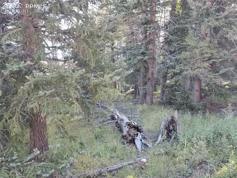 309 Pinaceae Hts, Divide, CO 80814 photo 17