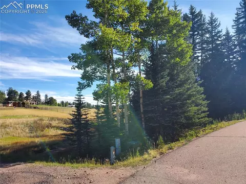 309 Pinaceae Hts, Divide, CO 80814 photo 14