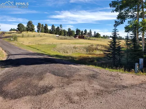 309 Pinaceae Hts, Divide, CO 80814 photo 13