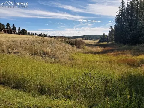 309 Pinaceae Hts, Divide, CO 80814 photo 11
