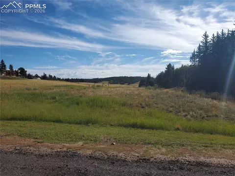 309 Pinaceae Hts, Divide, CO 80814 photo 2