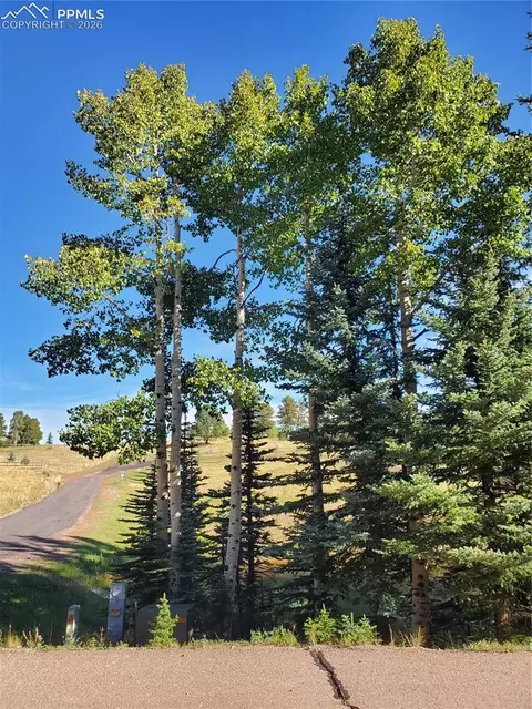 309 Pinaceae Hts, Divide, CO 80814 photo 21