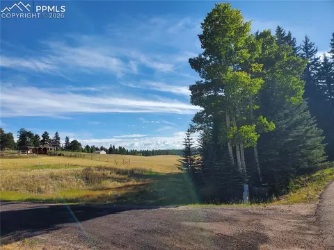 309 Pinaceae Hts, Divide, CO 80814 photo 15