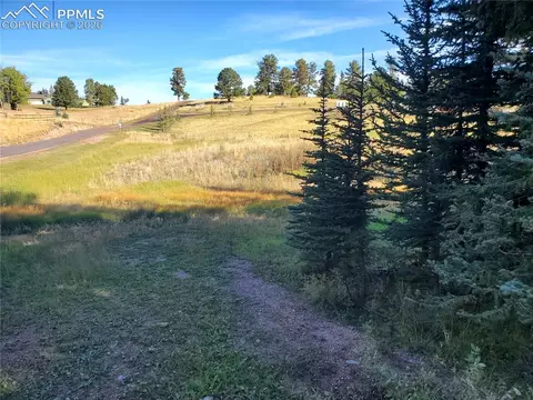 309 Pinaceae Hts, Divide, CO 80814 photo 18