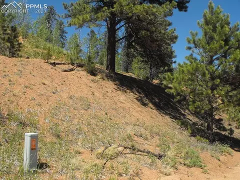 2525 County Road 33, Florissant, CO 80816