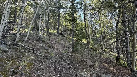 S Highway 67, Divide, CO 80814 photo 26