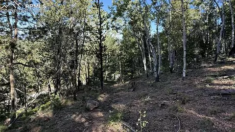 S Highway 67, Divide, CO 80814 photo 25