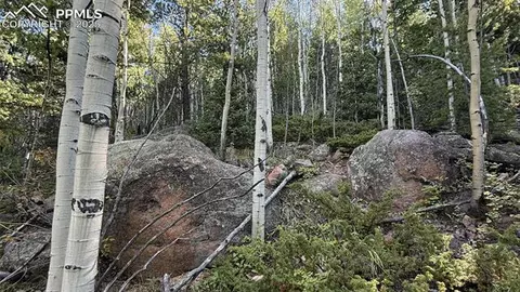 S Highway 67, Divide, CO 80814 photo 21