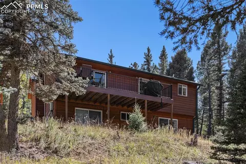 Other - 564 Black Bear Dr, Divide, CO 80814 photo 13 of 15