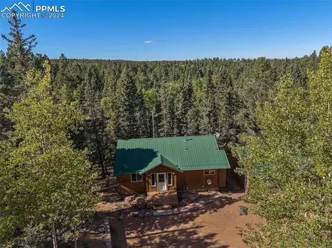 Other - 564 Black Bear Dr, Divide, CO 80814 photo 2 of 15