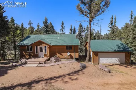 Other - 564 Black Bear Dr, Divide, CO 80814 photo 3 of 15