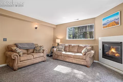 Other - 564 Black Bear Dr, Divide, CO 80814 photo 9 of 15