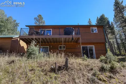 Other - 564 Black Bear Dr, Divide, CO 80814 photo 12 of 15