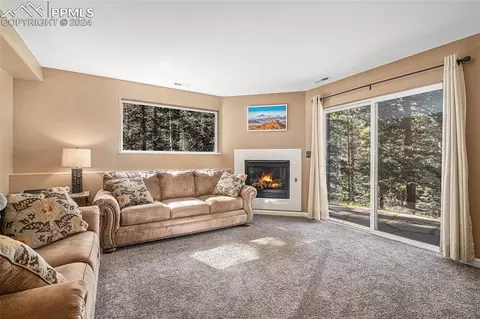 Other - 564 Black Bear Dr, Divide, CO 80814 photo 8 of 15