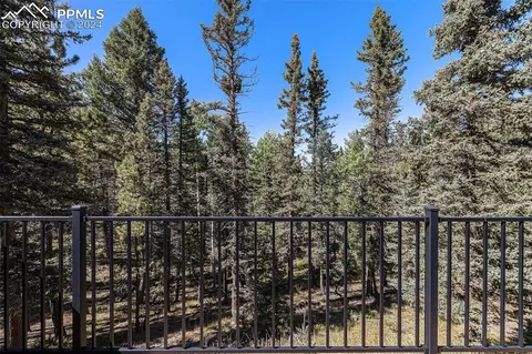 Other - 564 Black Bear Dr, Divide, CO 80814 photo 11 of 15