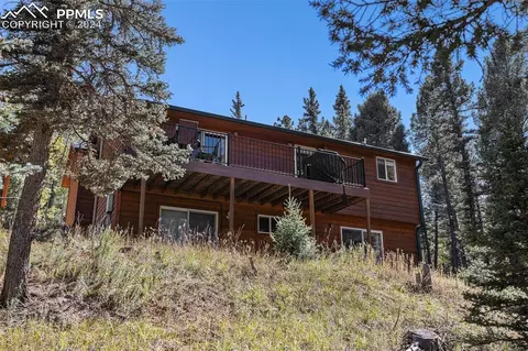 Other - 564 Black Bear Dr, Divide, CO 80814 photo 14 of 15