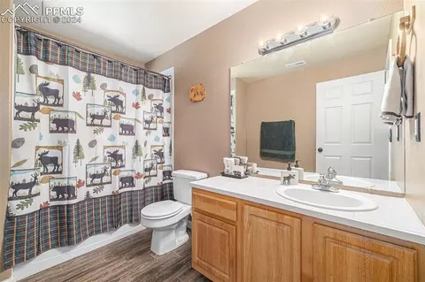 Bath - 564 Black Bear Dr, Divide, CO 80814 photo 3 of 3