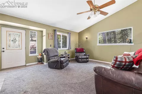 Other - 564 Black Bear Dr, Divide, CO 80814 photo 5 of 15