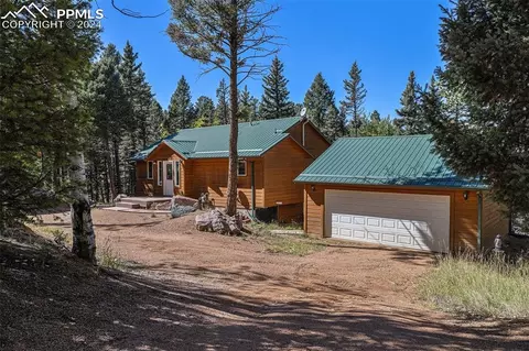 Other - 564 Black Bear Dr, Divide, CO 80814 photo 4 of 15