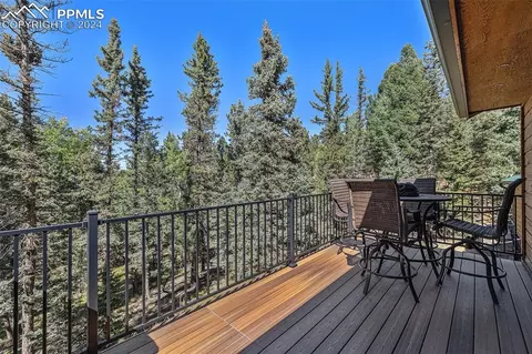 Exterior - 564 Black Bear Dr, Divide, CO 80814 photo 1 of 2